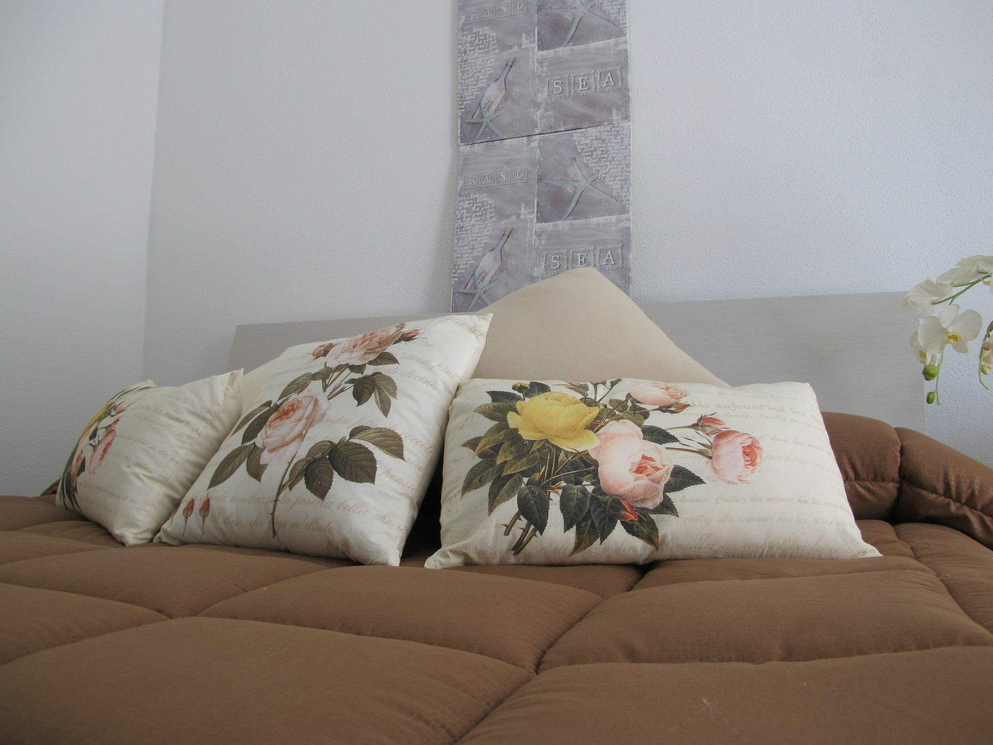 Guest House Suite Όλμπια Εξωτερικό φωτογραφία