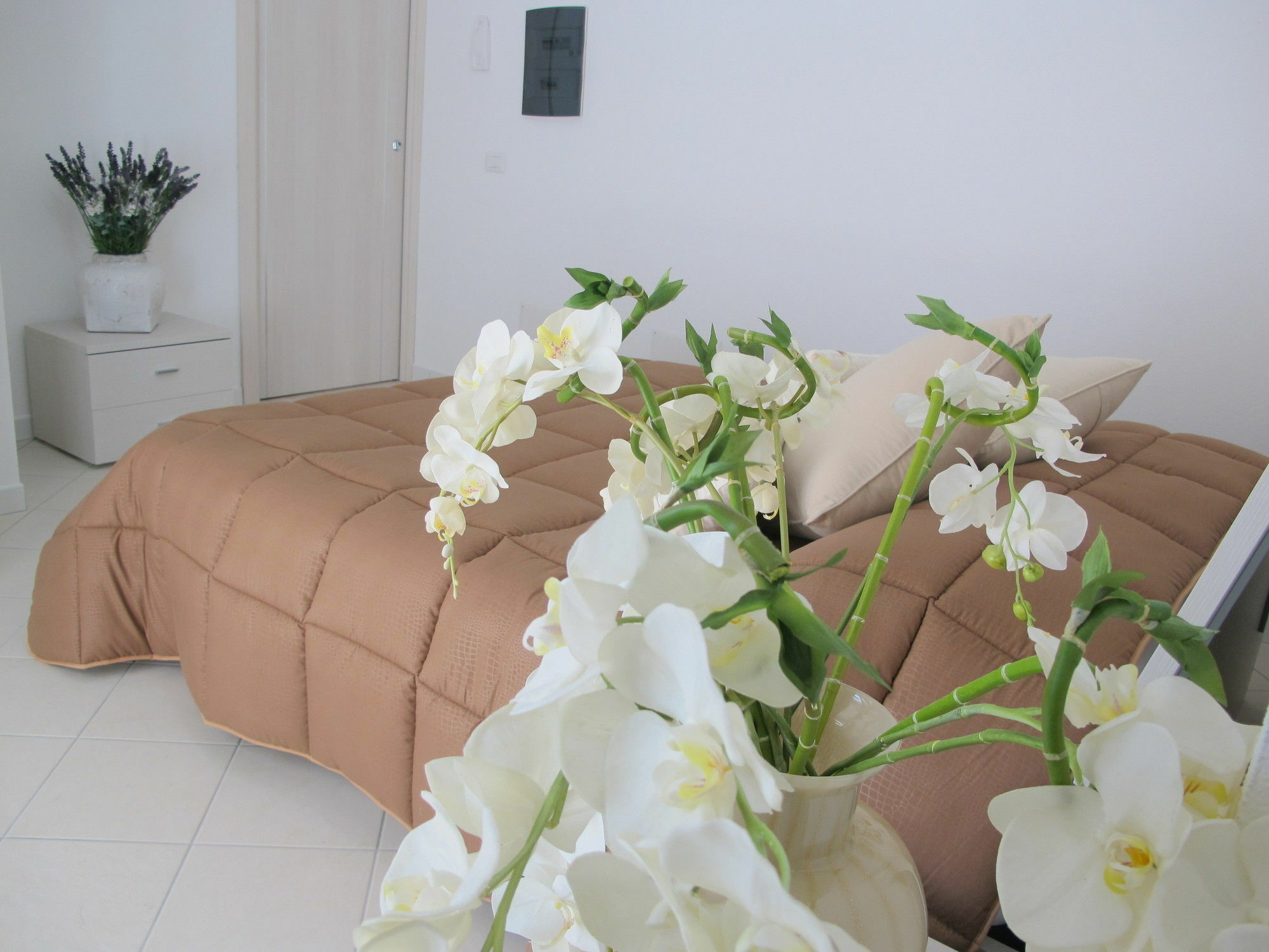 Guest House Suite Όλμπια Εξωτερικό φωτογραφία